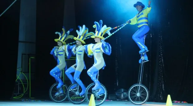 Цирк,цирк,цирк