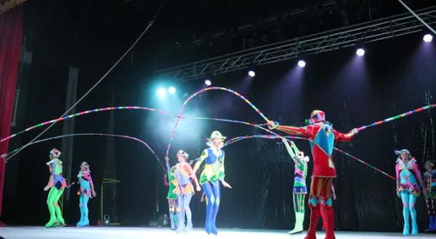 Цирк,цирк,цирк