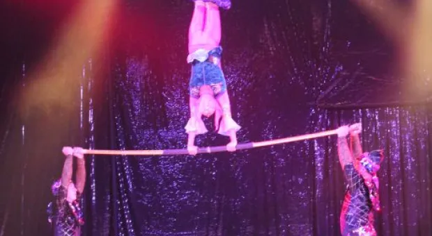 Цирк,цирк,цирк