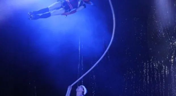 Цирк,цирк,цирк