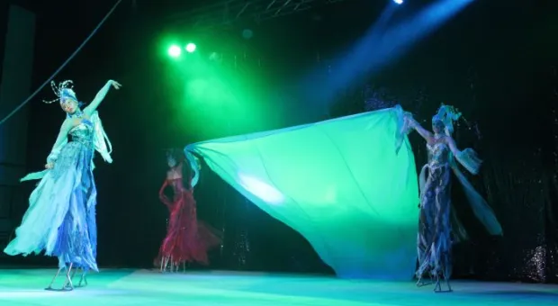 Цирк,цирк,цирк