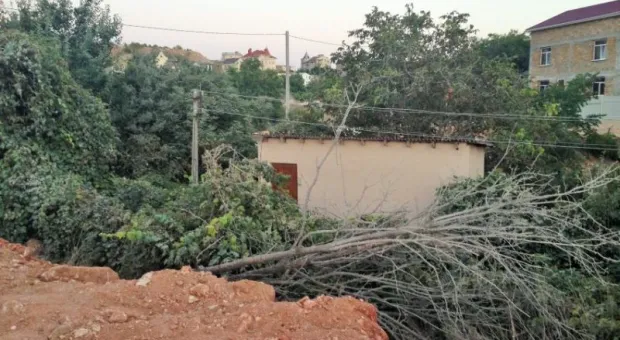 Севприродназдор проверил Юхарину и Стрелецкую балки