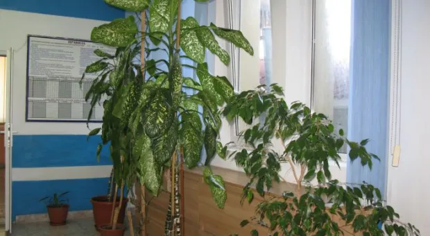 В новых организационных рамках начали свою работу флотские спортивные объекты в Севастополе