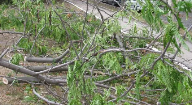 Черноморцы выдержали штормовой удар