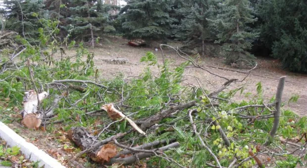 Черноморцы выдержали штормовой удар