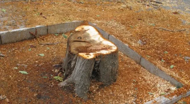 Черноморцы выдержали штормовой удар