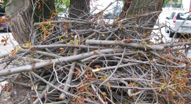 Черноморцы выдержали штормовой удар