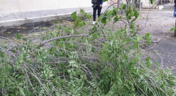 Черноморцы выдержали штормовой удар