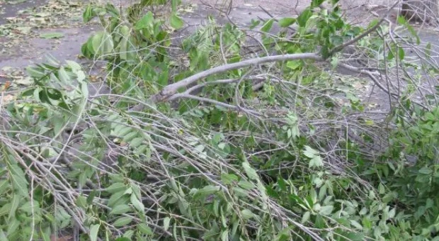 Черноморцы выдержали штормовой удар