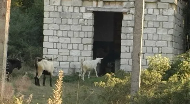 Одиннадцать популярных мифов о воде Одиннадцать популярных мифов о воде