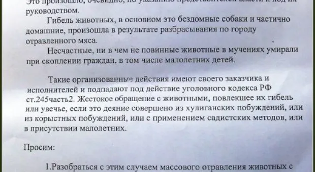 Бродячие животные в Севастополе. Что делать? Бродячие животные в Севастополе. Что делать?