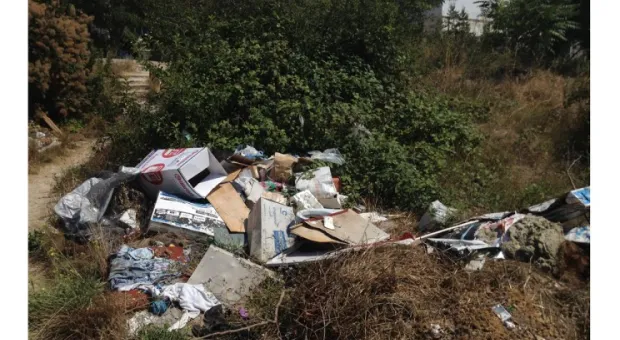 Горожане просят Москву спасти Севастополь от мусорного коллапса
