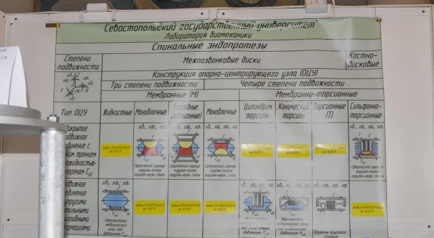 В Севастополе противостояние экономическому кризису началось с салона «Новое время»