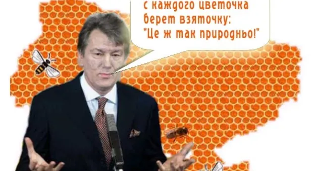Пчеловоды в ужасе: пчелы дохнут, как мухи