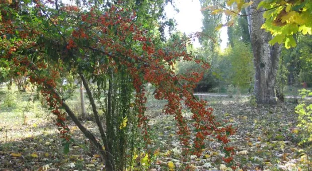 На выходных в Севастополе будет сухая и относительно тёплая погода