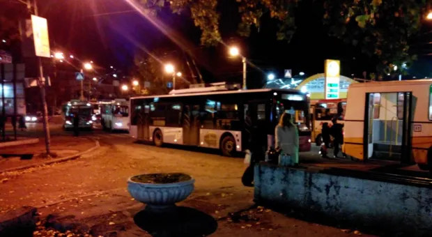 ЧП в районе автовокзала Севастополя: тополь упал на проезжую часть, оборвав провода линии электропередач