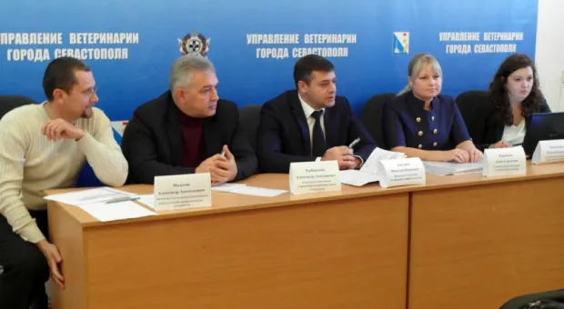 Предпринимателям Севастополя рассказали всё о частной ветеринарии