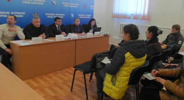 Предпринимателям Севастополя рассказали всё о частной ветеринарии