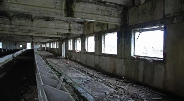 Мертвые души и лошади-призраки Мертвые души и лошади-призраки