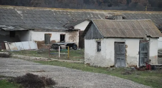 Мертвые души и лошади-призраки Мертвые души и лошади-призраки