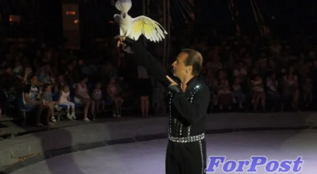 В Севастополь приехали амурские тигры и человек-феномен