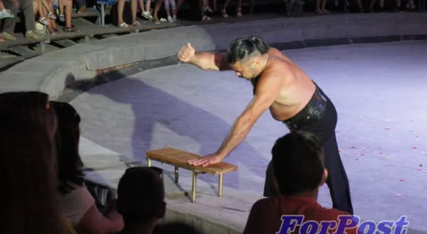 В Севастополь приехали амурские тигры и человек-феномен