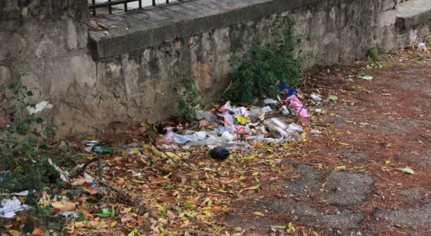 На "ничьей" территории возле детского сада в Севастополе выросла свалка