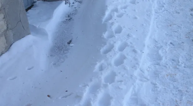 Снежный Севастополь (ФОТО)