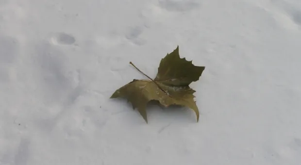 Снежный Севастополь (ФОТО)