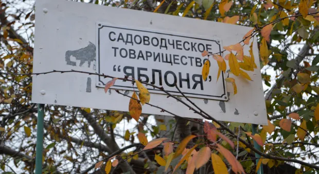 Новости Севастополя - Российские ученые нашли способ борьбы с раком