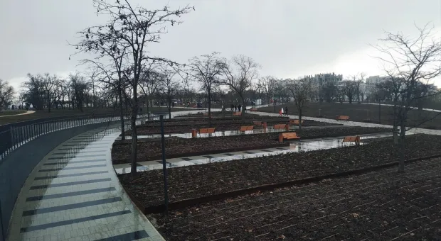 Открытие парка «Учкуевка» в Севастополе стало испытанием