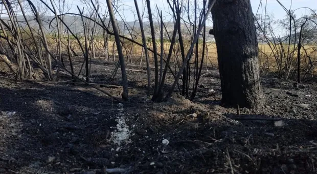 В Севастополе пожар разыгрался у стен частных домов 