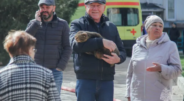 В Севастополе из горящей квартиры вынесли человека и домашних животных