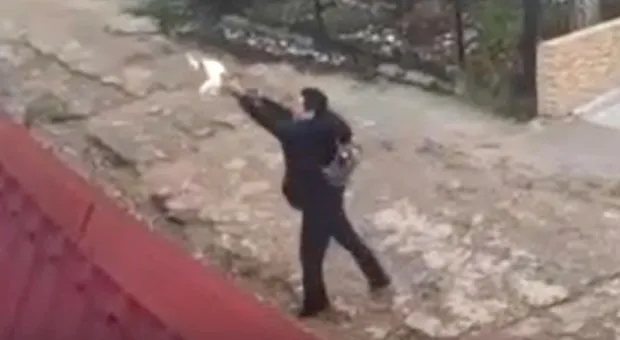 Новости Севастополя - 