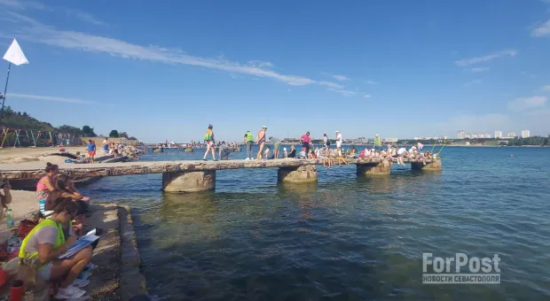 Почему седеет рыжая борода рыбака Птички из Севастополя 