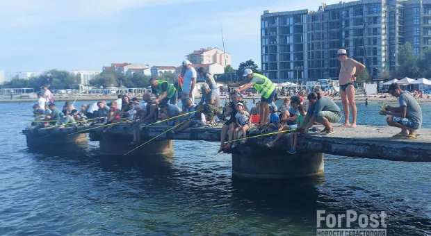 Почему седеет рыжая борода рыбака Птички из Севастополя 