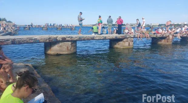 Почему седеет рыжая борода рыбака Птички из Севастополя 