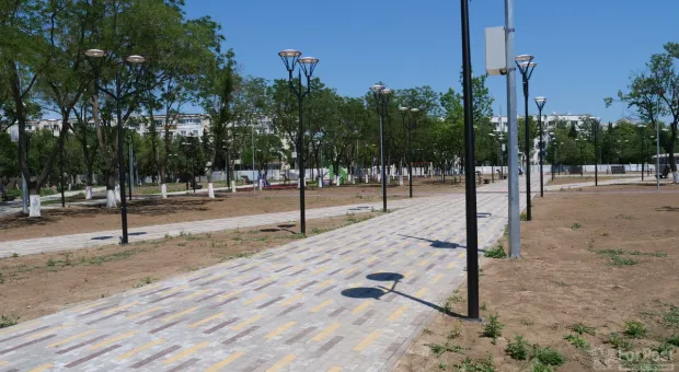 В Севастополе готовят к открытию лысый парк
