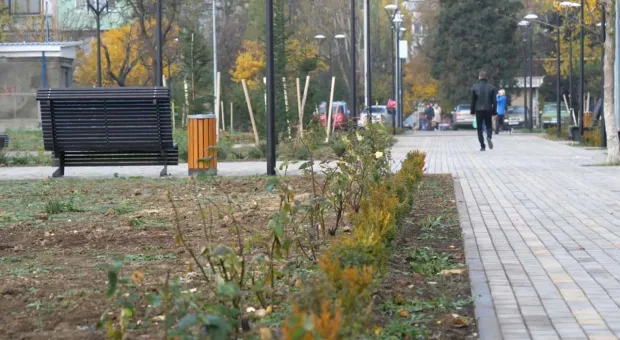 «Лысый парк» готов удивить севастопольцев 