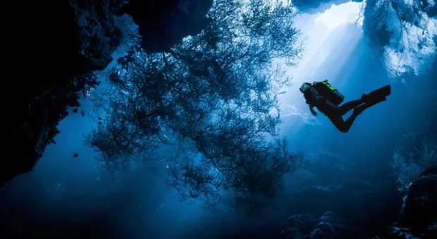 Севастополь накроет «Волошинский сентябрь»