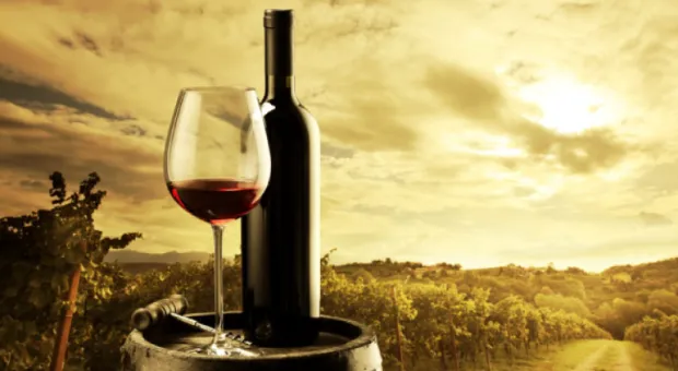 Куда пойти на выходных: СССР имени Драгунского и драйв «ВелоНочи»