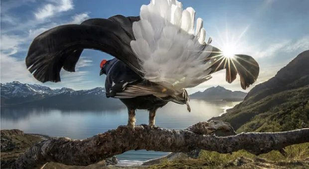 «Либо сейчас меня убьют, либо я кого-то убью», – Кирилл Полухин о пути в профессию