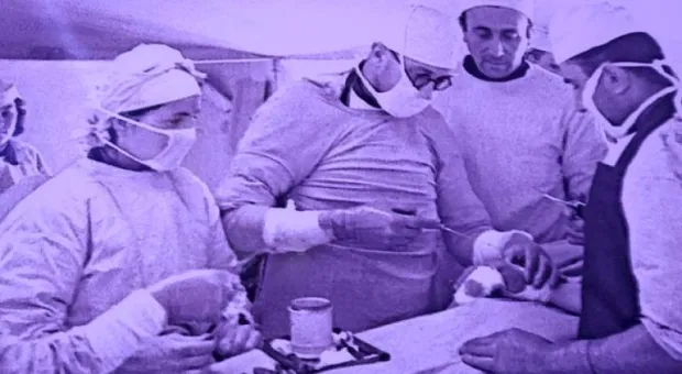 Новости Севастополя - Медвежья любовь