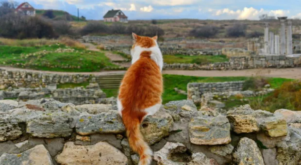 Мировые новости - В стиле Тарантино и не только: творческая «Лаборатория» покажет «Гамлета»