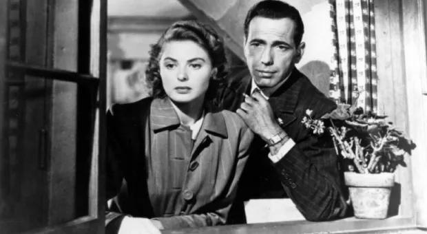 Мировые новости - #МыВместе: во время карантина Telegram будет поддерживать своих пользователей