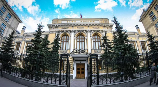 Снято на «яблоко»: как формировался айфонный кинематограф