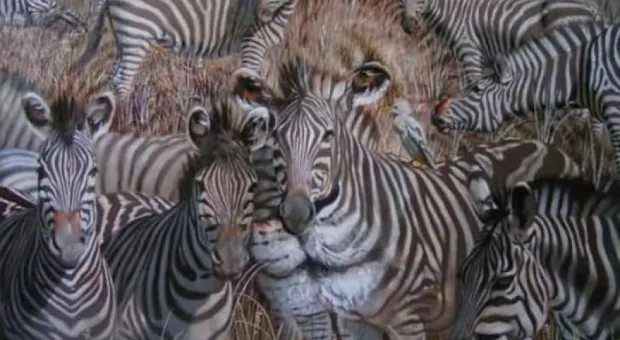 Мировые новости - Локдаун в фотографиях: карантинные будни материковой России