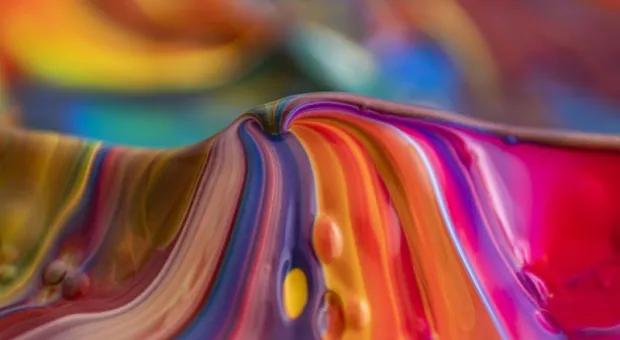 Новости Крыма - Взлом сознания: как бесплатно получить второе высшее образование в сфере искусств