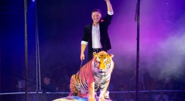 Новости Крыма - В Севастополе стартует юбилейный сезон фестиваля «Zакрытый покаZ»