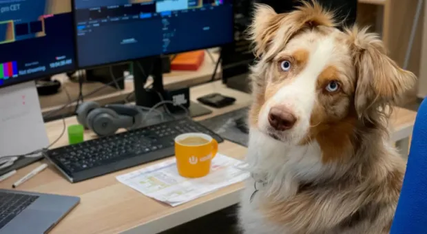 Новости России - Лучшие песни и альбомы 2022